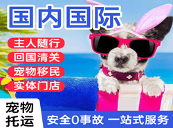 黄山空运代理国际宠物托运 【国